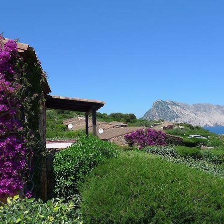 Casa Molara Βίλα San Teodoro  Δωμάτιο φωτογραφία