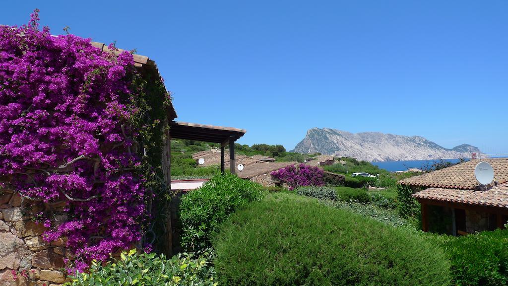 Casa Molara Βίλα San Teodoro  Δωμάτιο φωτογραφία